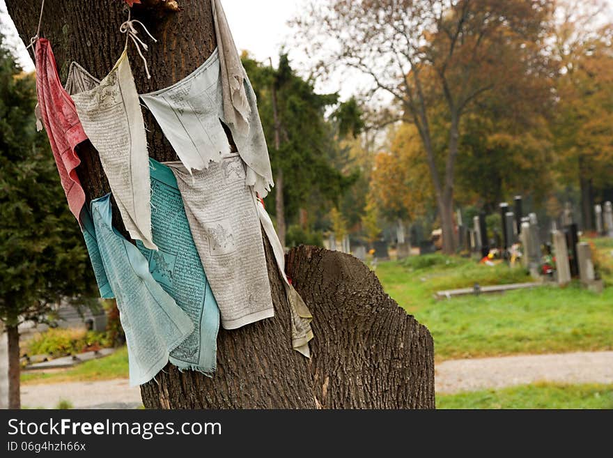 Tree with colorful scarves with inscriptions in the cemetery. Tree with colorful scarves with inscriptions in the cemetery