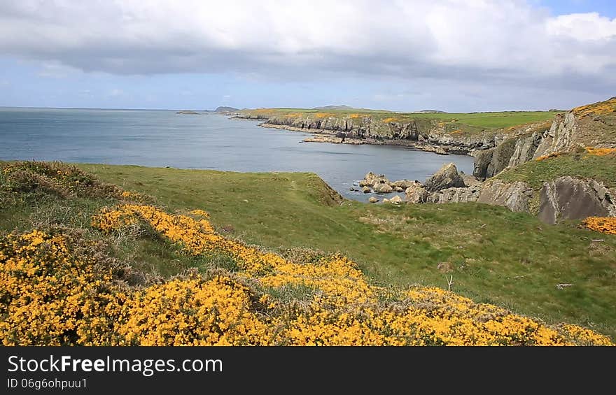 View from Wales Coast Path St Brides Bay Pembrokeshire West Wales UK near St Davids and in the Coast National Park