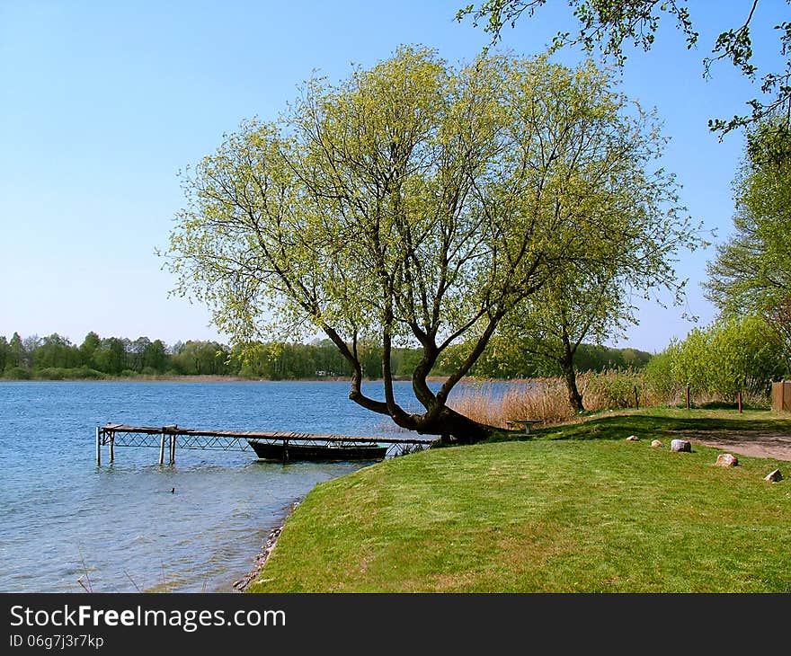 Bridge and tree over Lake Powidzkie in the spring season. Bridge and tree over Lake Powidzkie in the spring season.