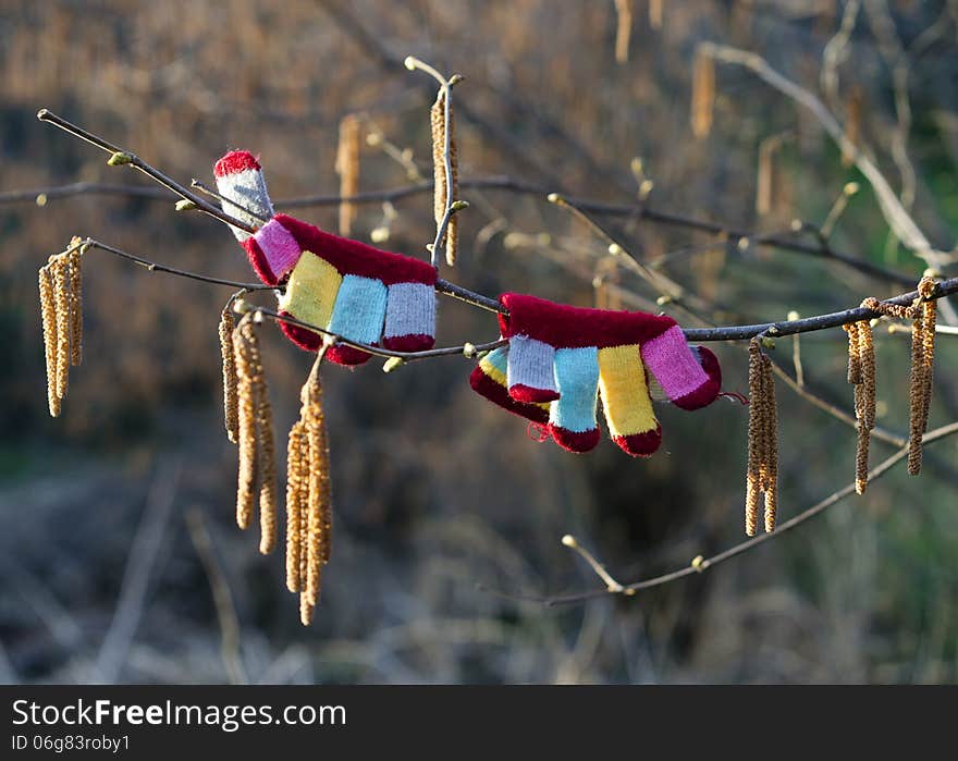 Colorful child's gloves hanging on a branch of tree with catkins, spring concept. Colorful child's gloves hanging on a branch of tree with catkins, spring concept.