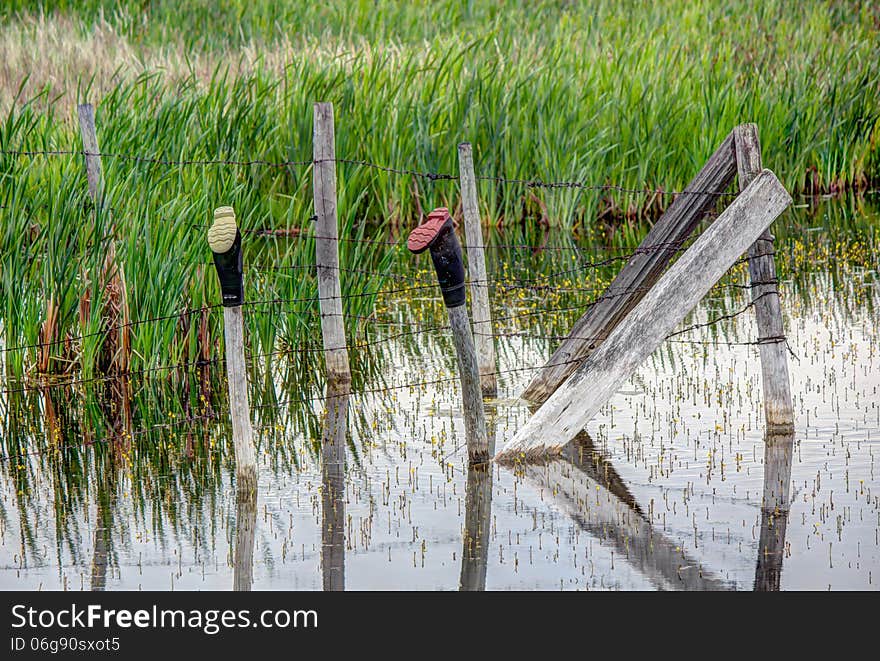 Rubber boots