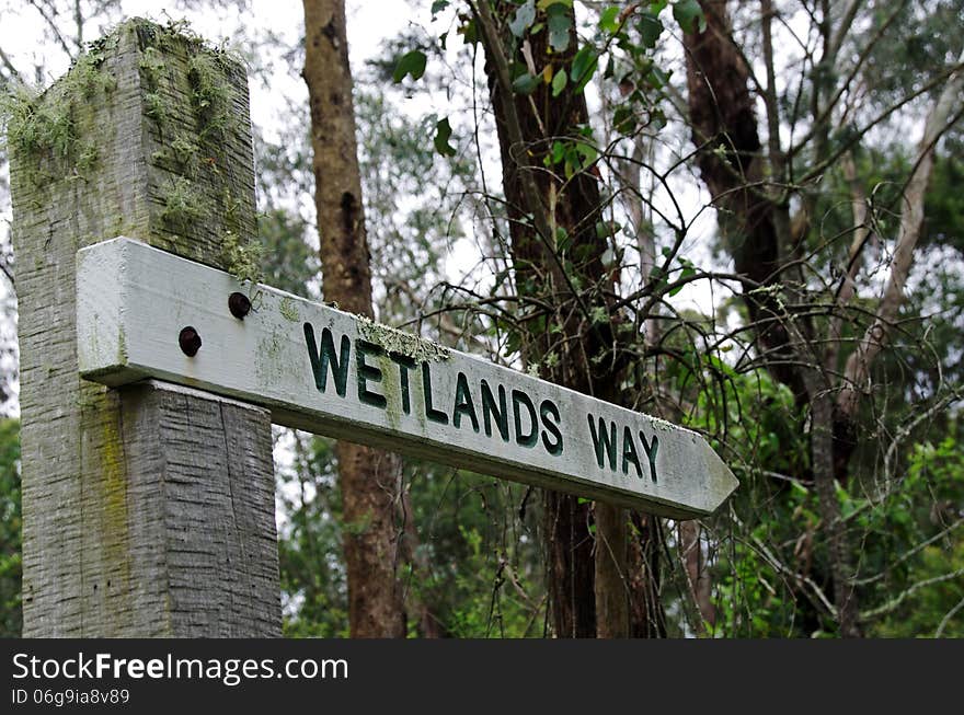 Wetlands sign in a woodland setting