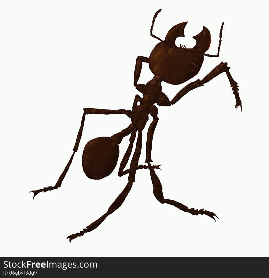 Warrior Ant