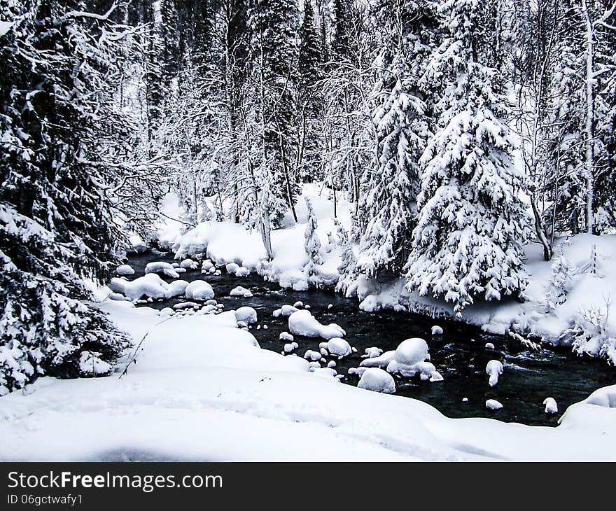 Russian Wild Winter