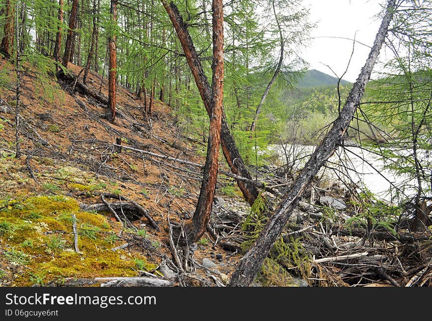 Rocky precipice in Yakutia.