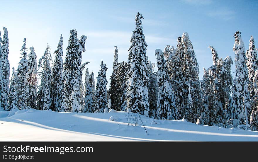 Real Russian Winter