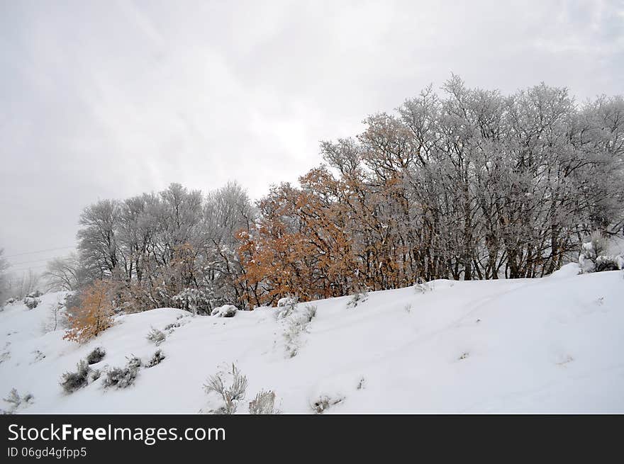 Clash of Winter and Fall