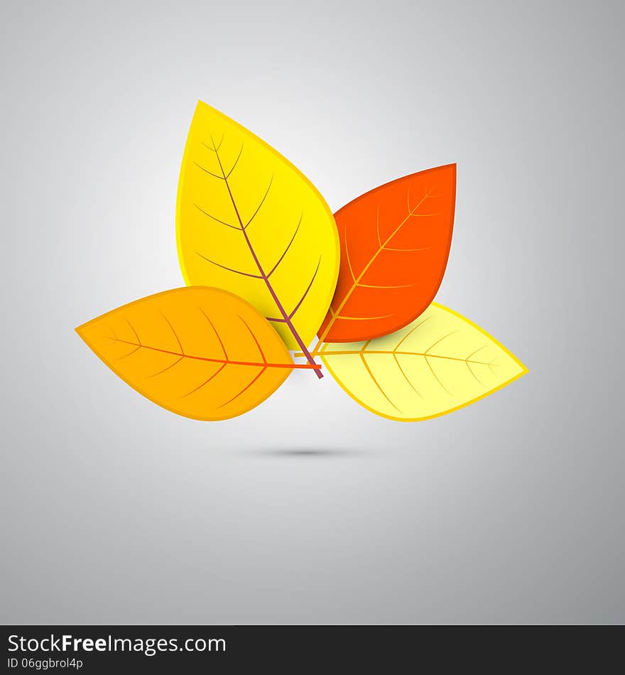 Orange Autumn Leaves Isolated On Grey Background