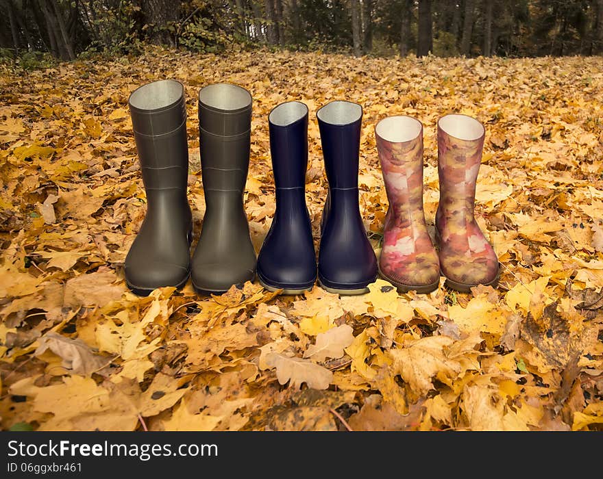 Green, dark blue and red rubber boots on the fallen leaves.