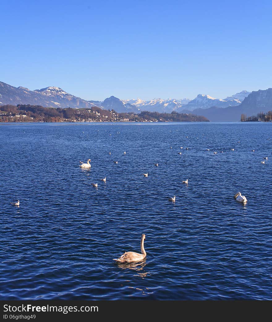 Lake Lucerne, Switzerland in winter