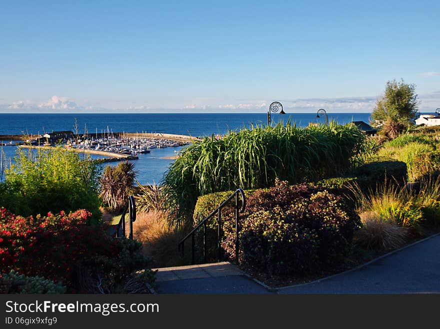 Garden Overview ~ Lyme Regis