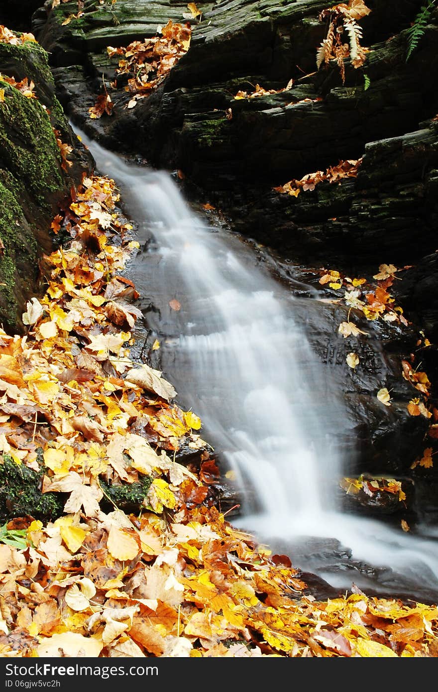 Little waterfall with colorful leaves, autumn in the nature