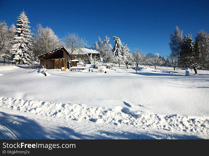 Cottage with garden