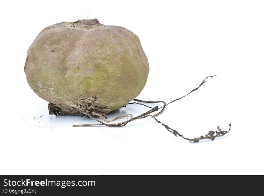 Large raw beet on white background. Large raw beet on white background