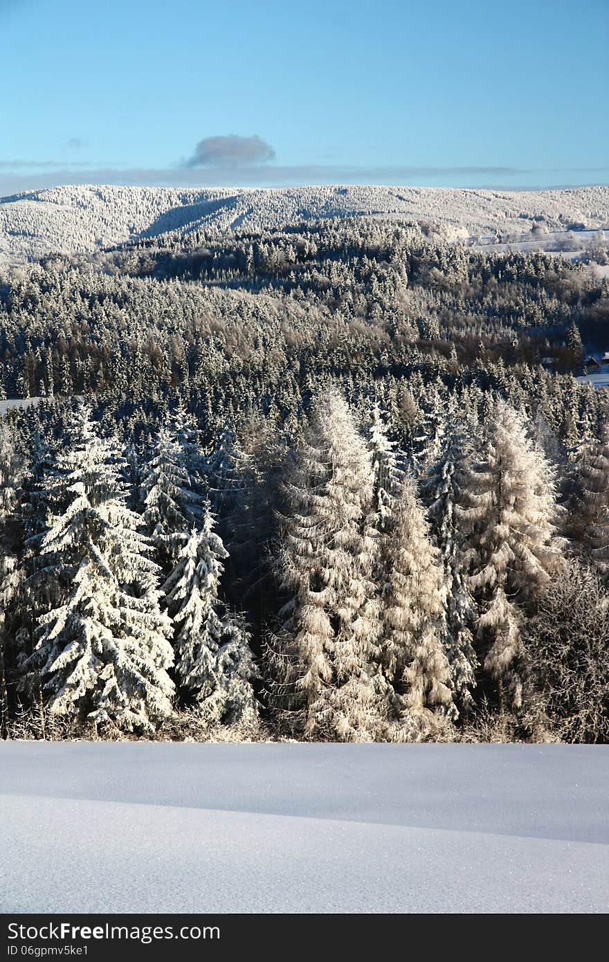 Forest covered with snow, czech mountains. Forest covered with snow, czech mountains