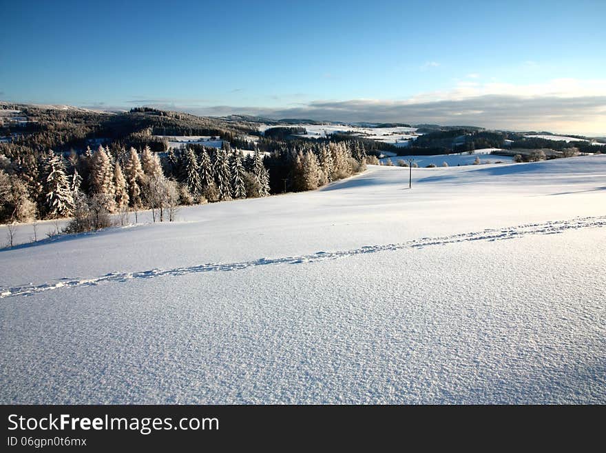 Winter panorama