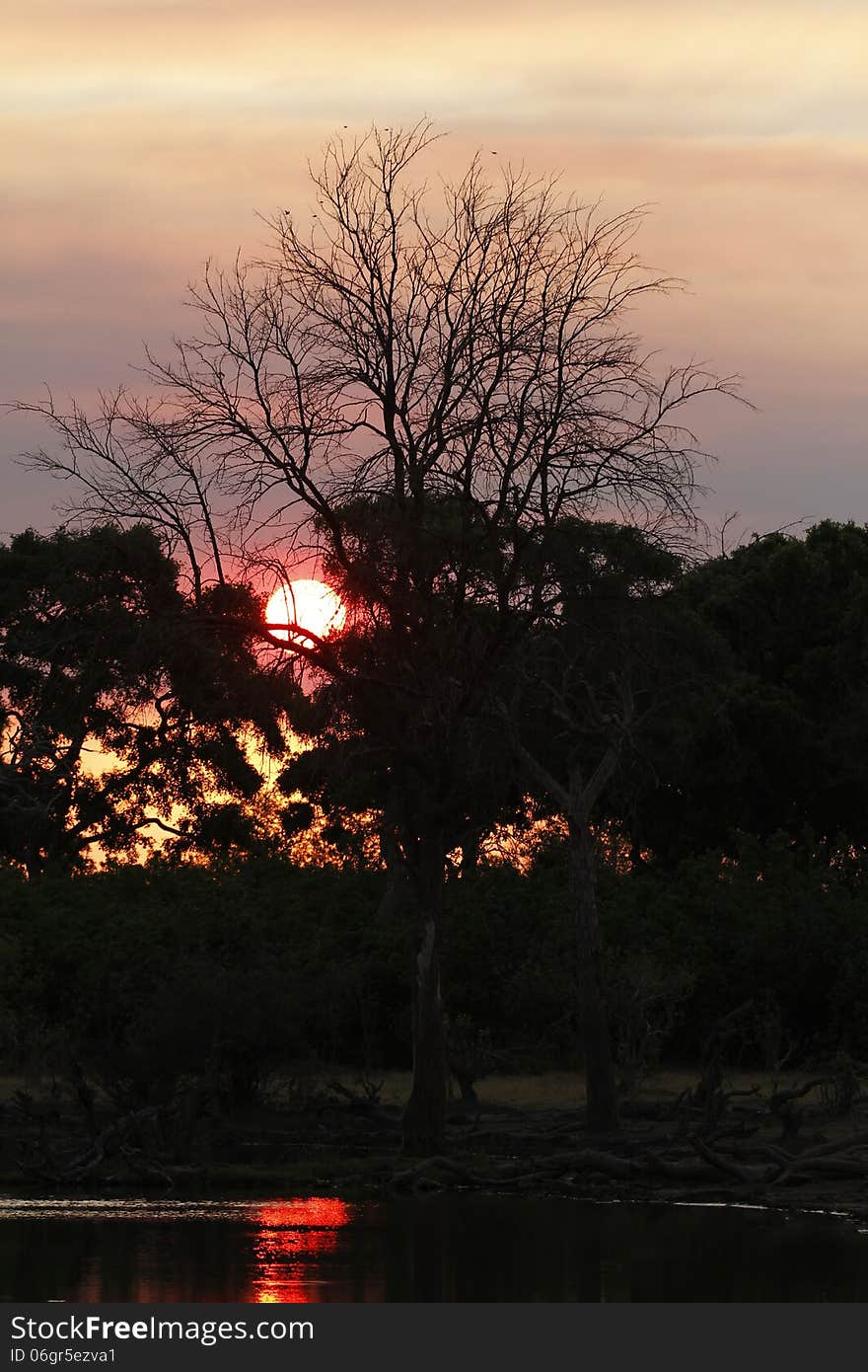 Sunset over the Okovango Delta in Botswana. in Botswana