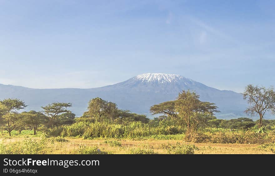 Kilimanjaro In Kenya