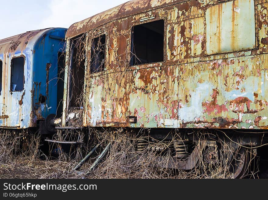 Abandoned passenger cars invaded by rust and vegetation