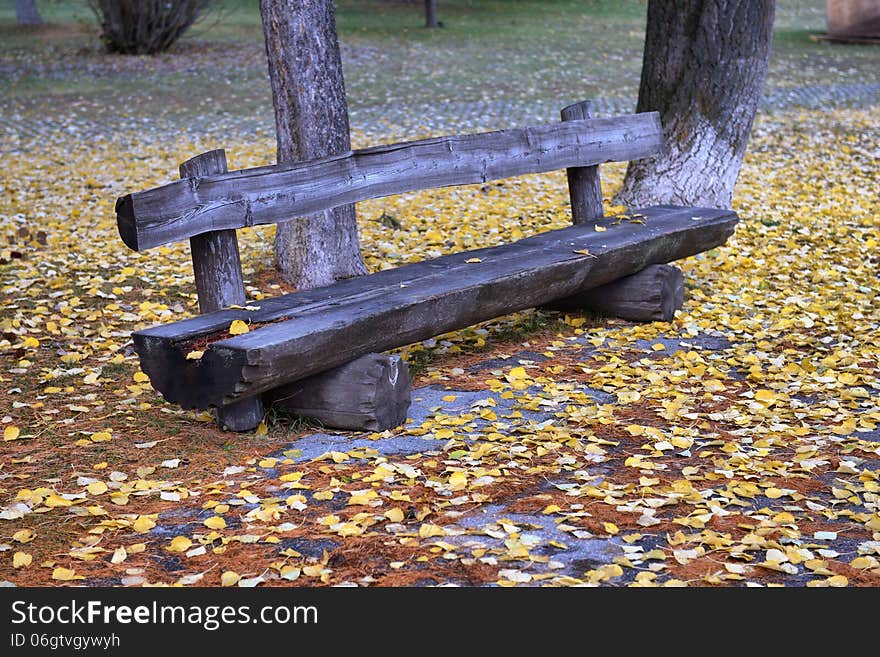 Bench in the park