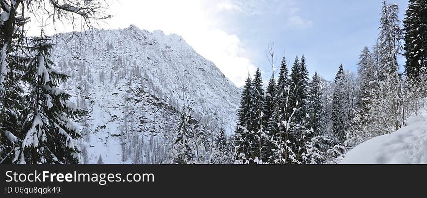 Alps winter panorama