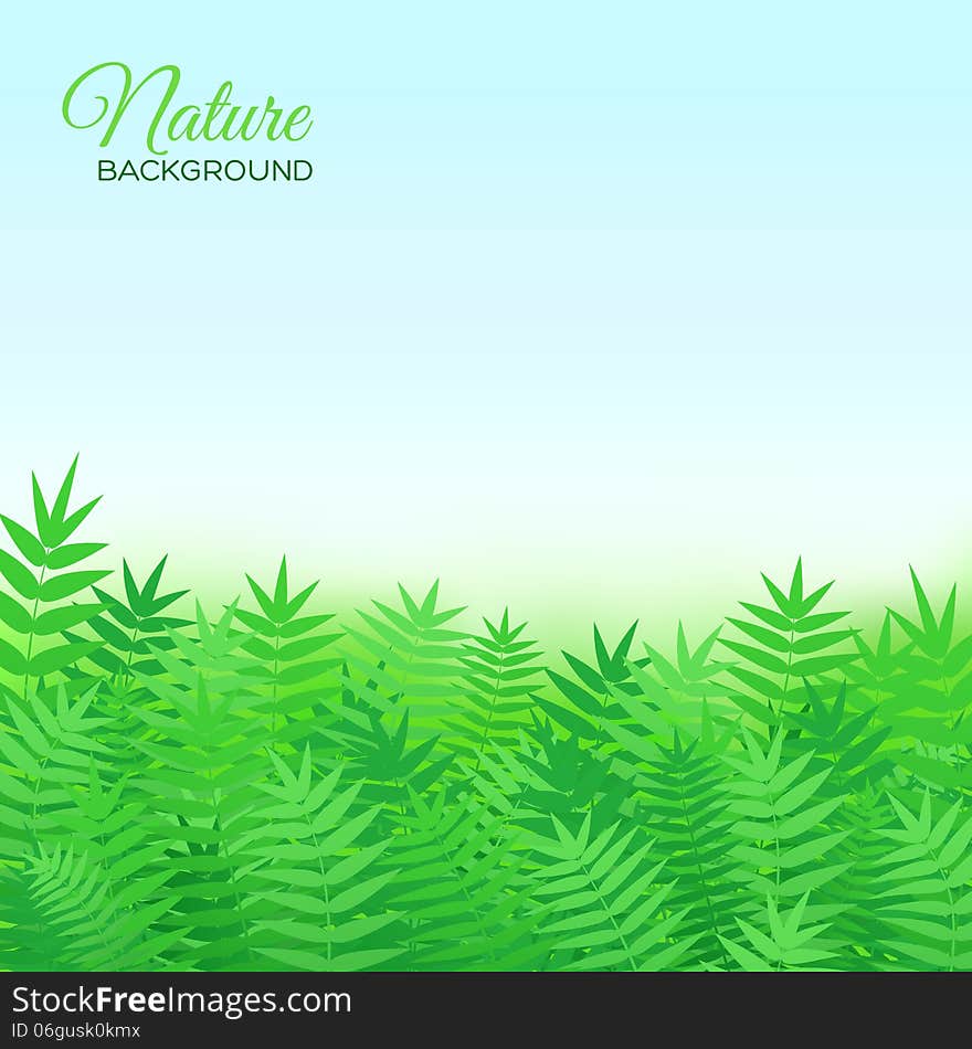 Natural background with grass