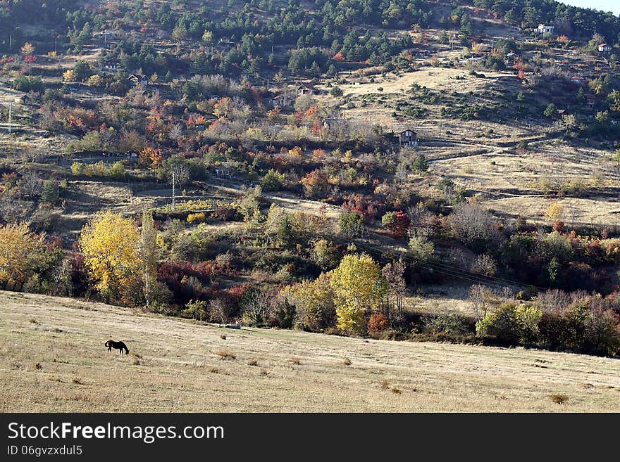 Village in the mountain with two tree houses trough the autumn with horse. Village in the mountain with two tree houses trough the autumn with horse