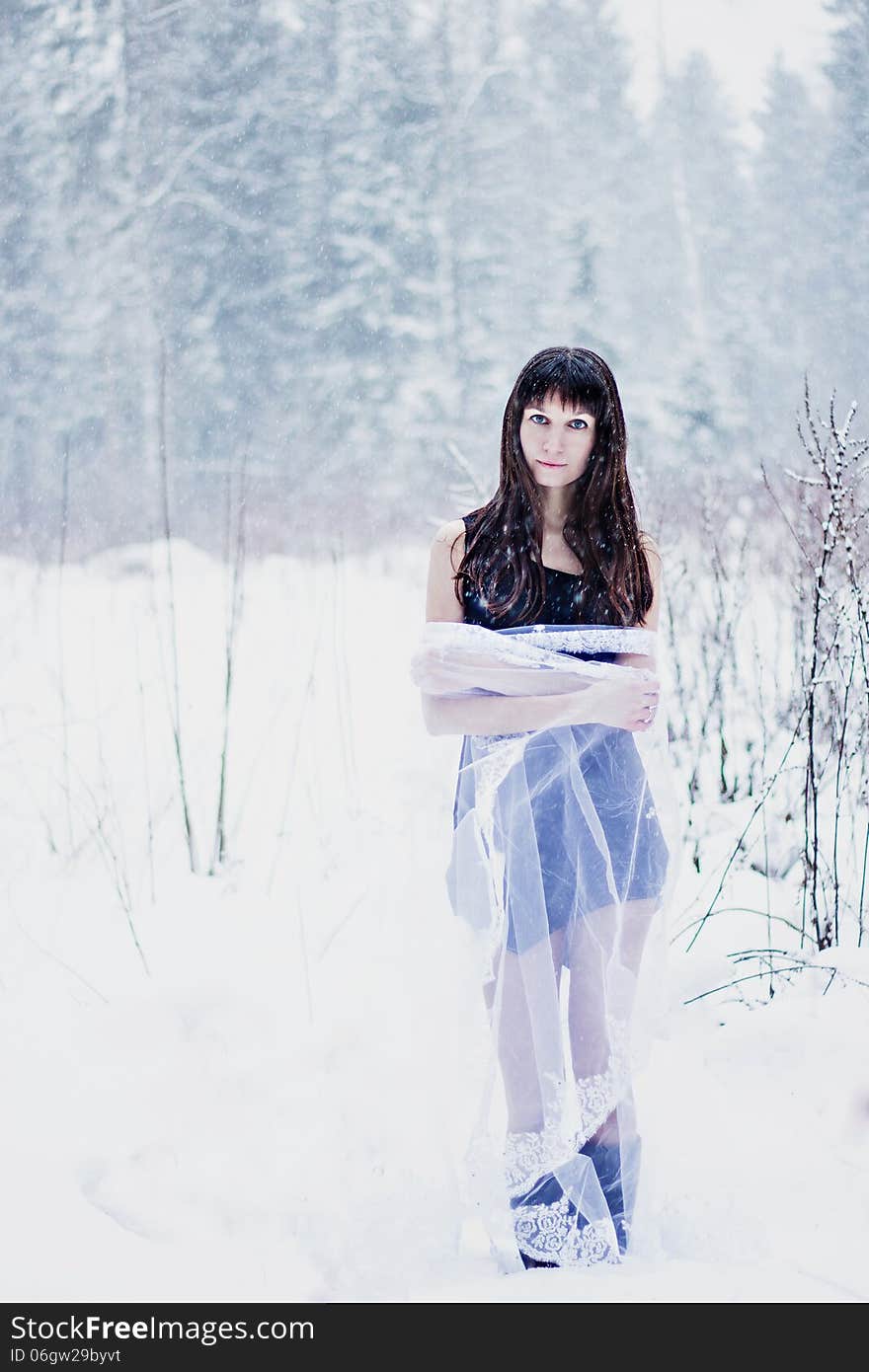 Beautiful bride under veil on white snow background