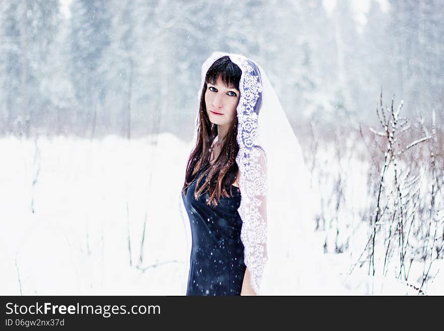 Beautiful Bride Under Veil On White Snow Background