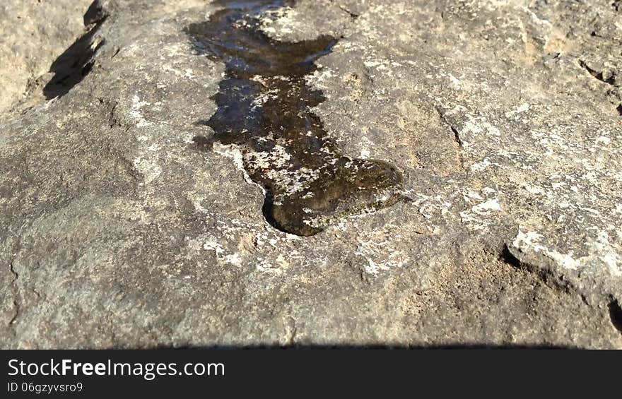 Water Droplet Running Over Rock