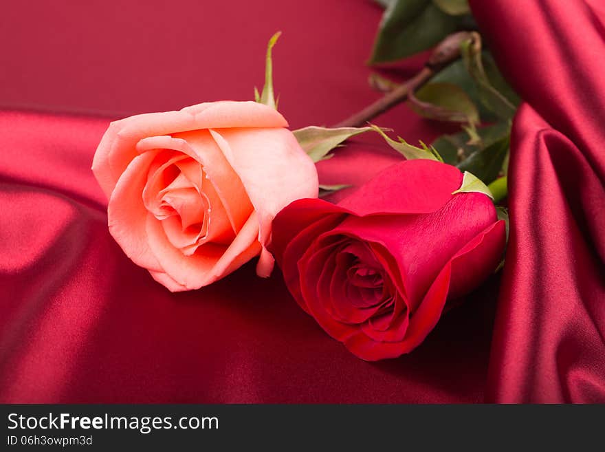 Pink and red roses