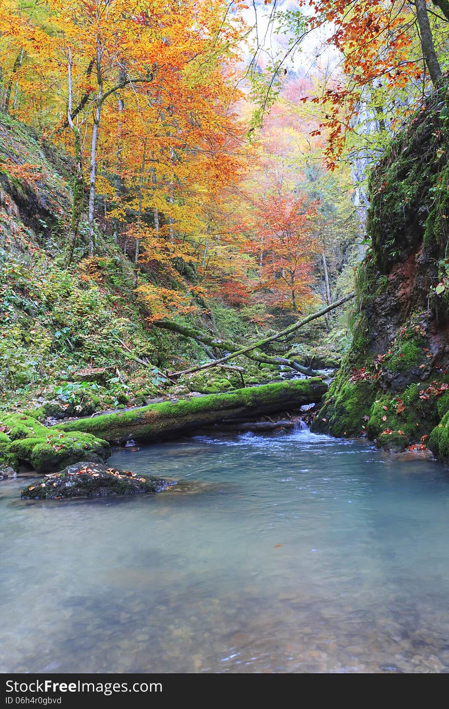 Galbena canyon autumn