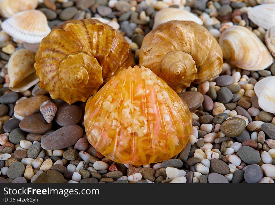 Natural skincare products of exfoliating scrub, soap and sea shells on background sea pebble. Natural skincare products of exfoliating scrub, soap and sea shells on background sea pebble