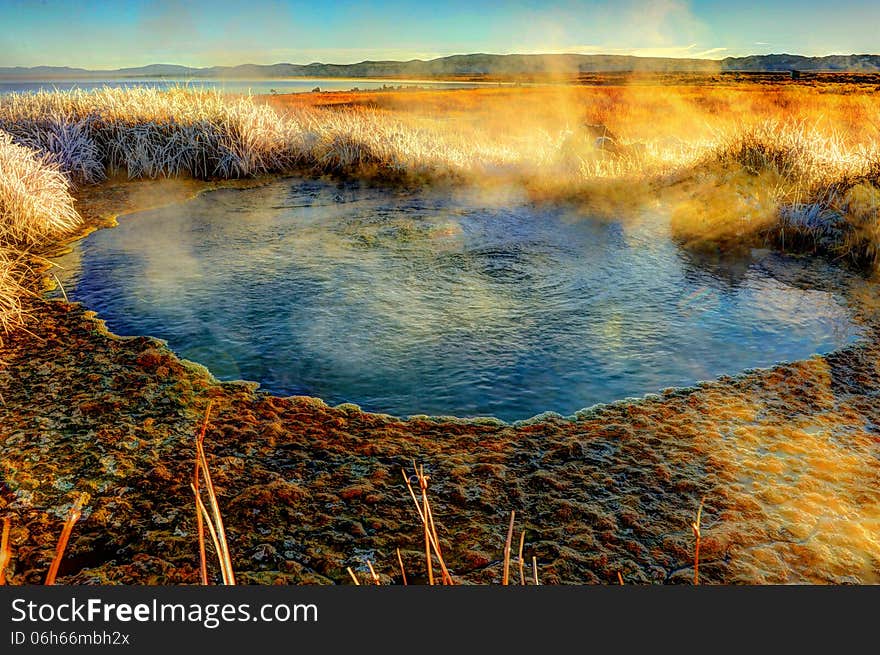 Algae surrounds a geothermal pool with frozen grass as steam rises. Algae surrounds a geothermal pool with frozen grass as steam rises