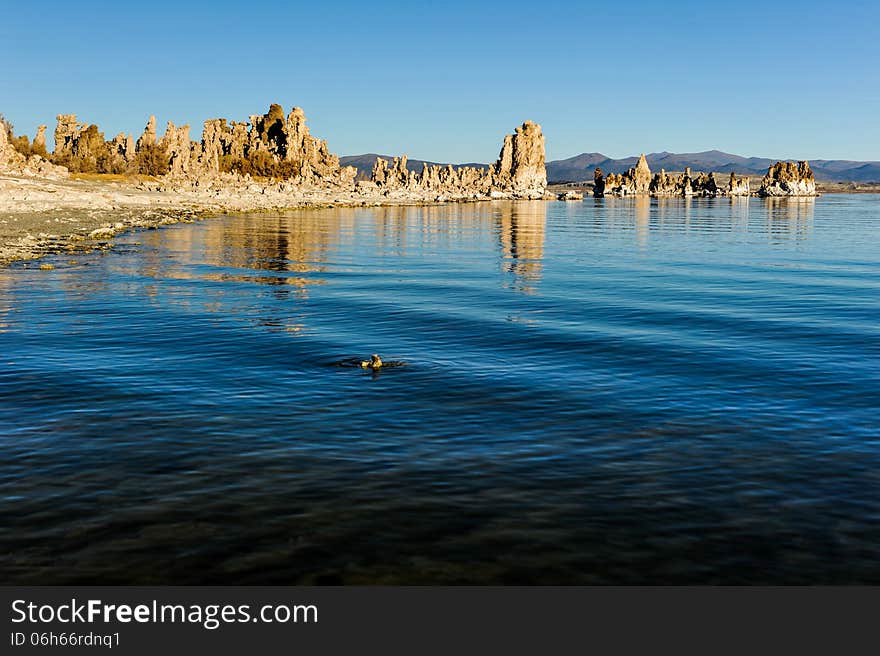 Mono Lake tufa formations at sunrise