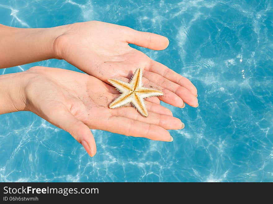Woman holding starfish in a hands