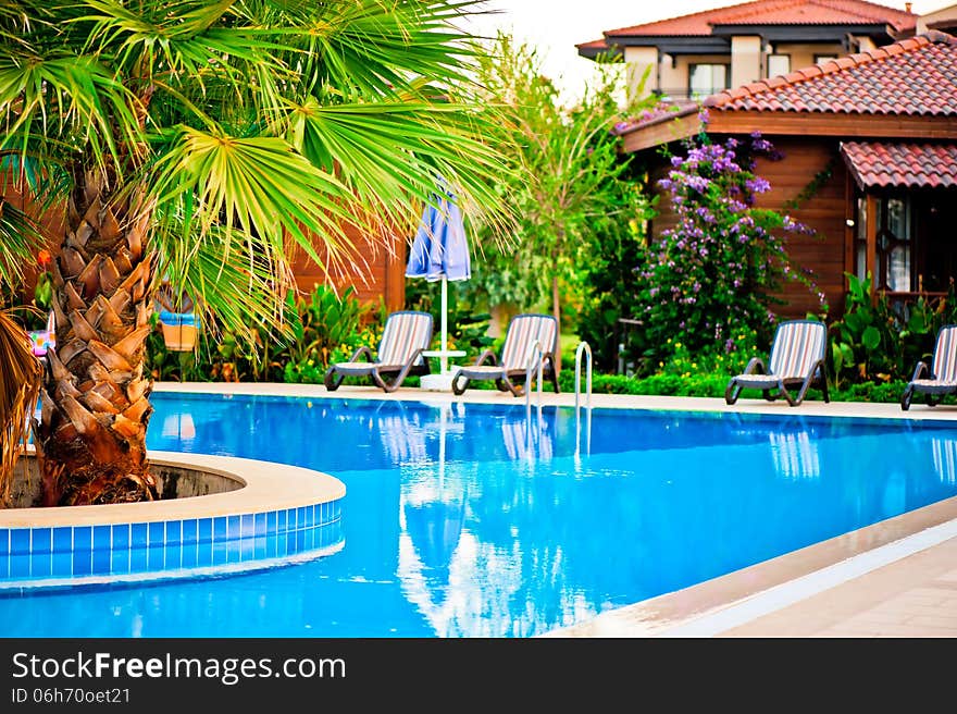 Palm tree growing in the midst of the pool