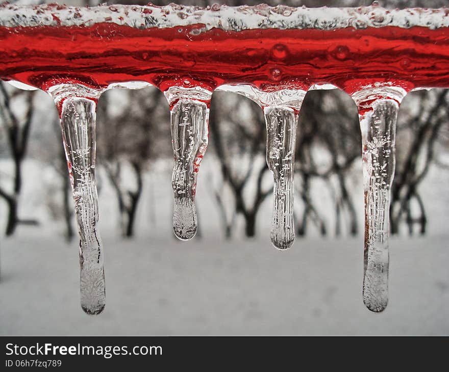 I found many icicles on that winter but no one like this. If you wonder what is that red tube... well are LED Christmas Lights decoration connected between two boutiques.