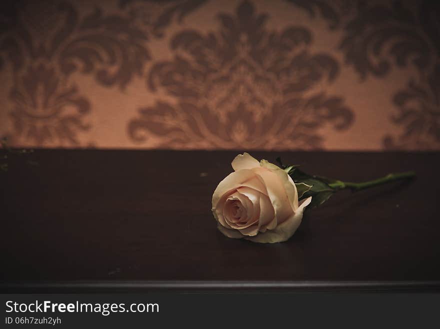 A rose on the table against vintage wall.