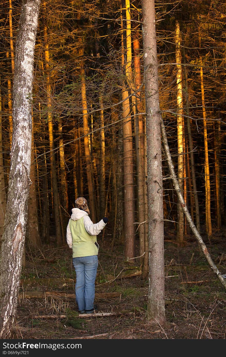 The girl at the entrance to a dense forest, at sunset