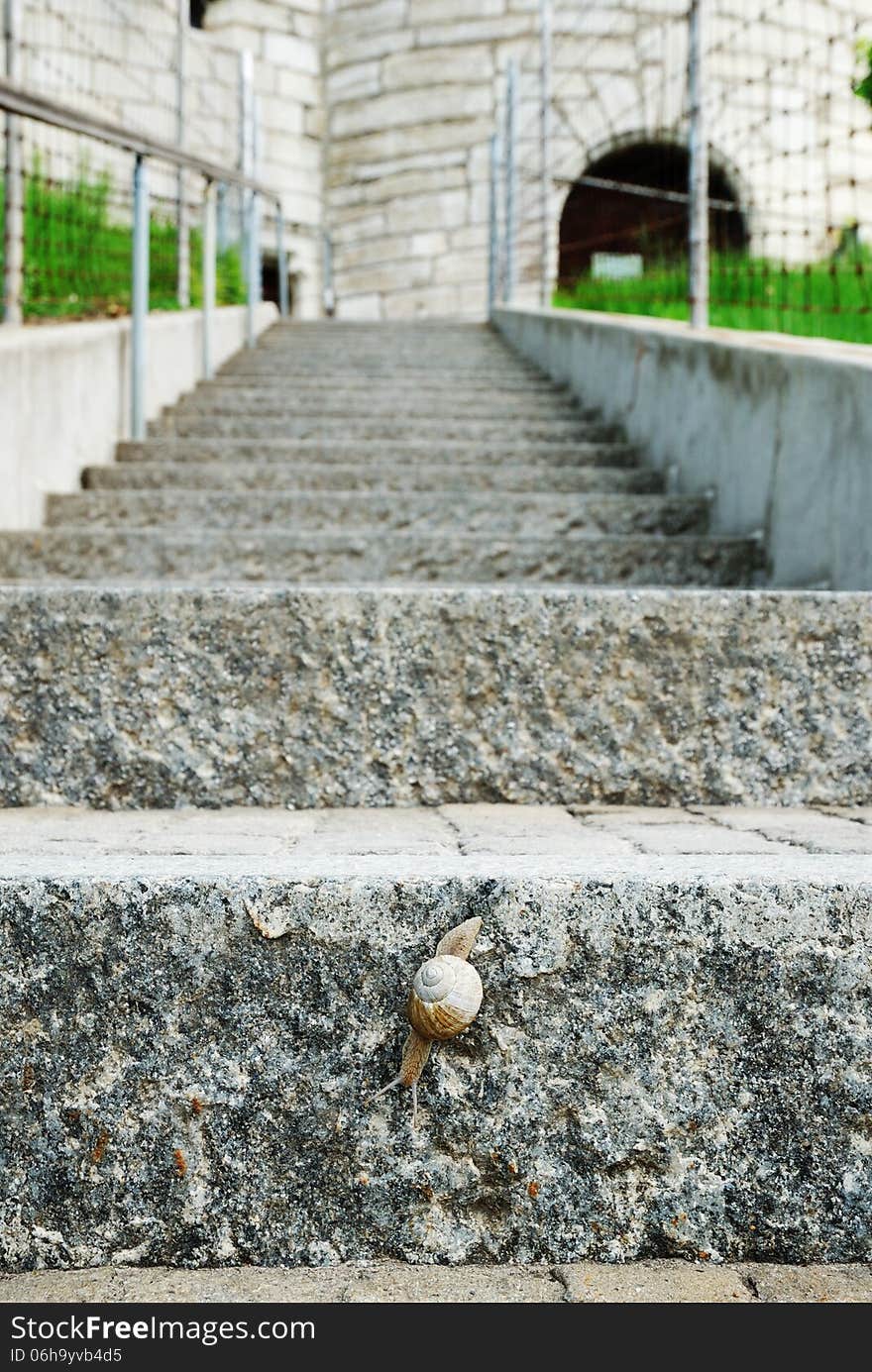 The stone staircase is photographed with diminishing perspective. In the foreground a land snail is going down on the steps. The stone staircase is photographed with diminishing perspective. In the foreground a land snail is going down on the steps.