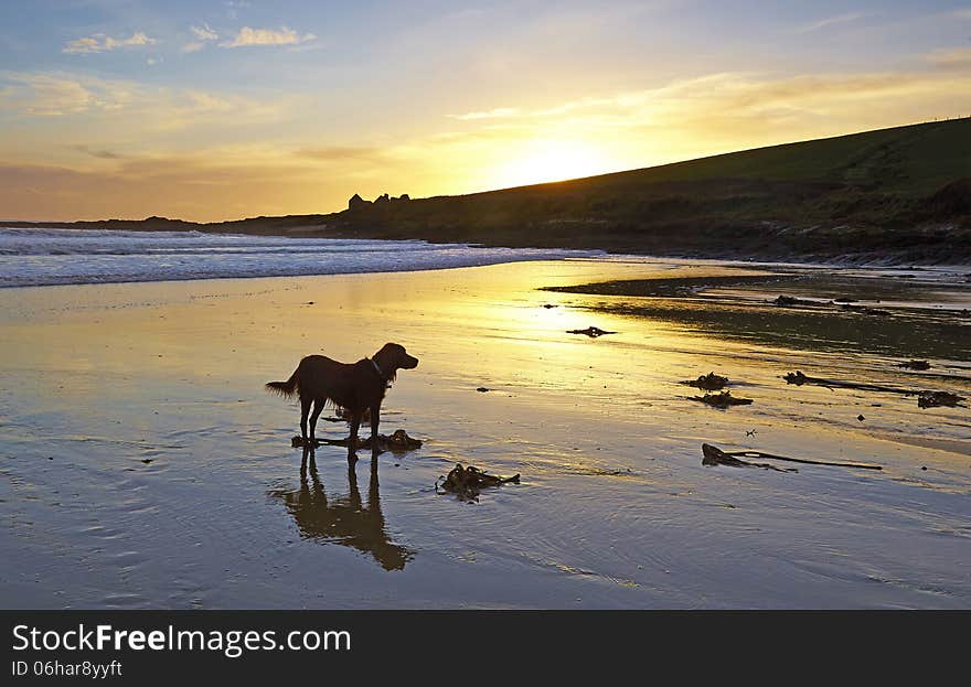 Howe s Strand, Kilbrittain, Co. Cork, Ireland