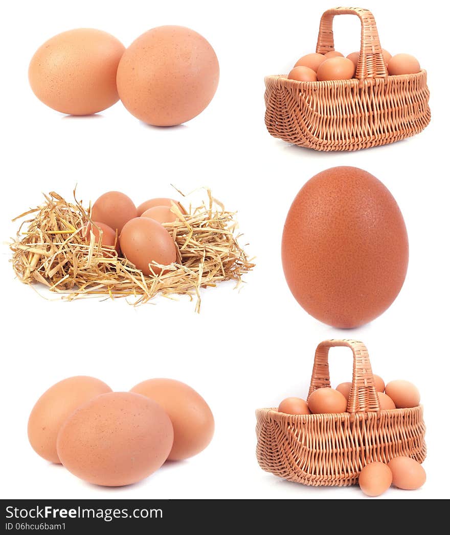 Fresh Eggs