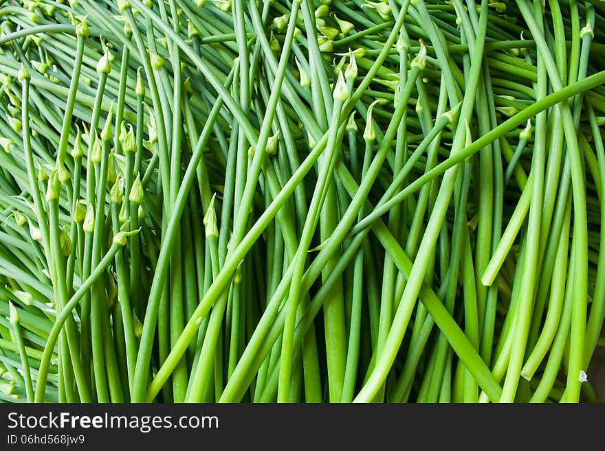 Flowering onion