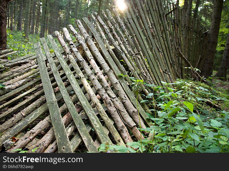 Wooden fence in the forest