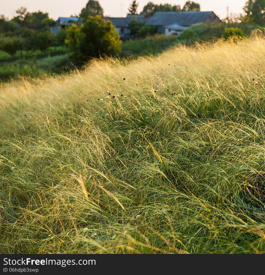 Rural Landscape