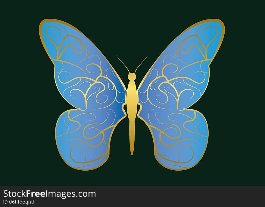 Patterned butterfly with blue wings.Dark color background. Patterned butterfly with blue wings.Dark color background.