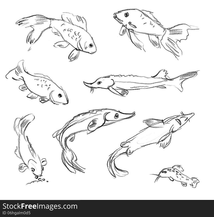 Aquarium fish. Set. Hand-drawn