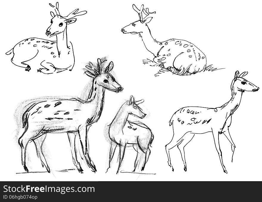 Sika deer. Set. Hand-drawn