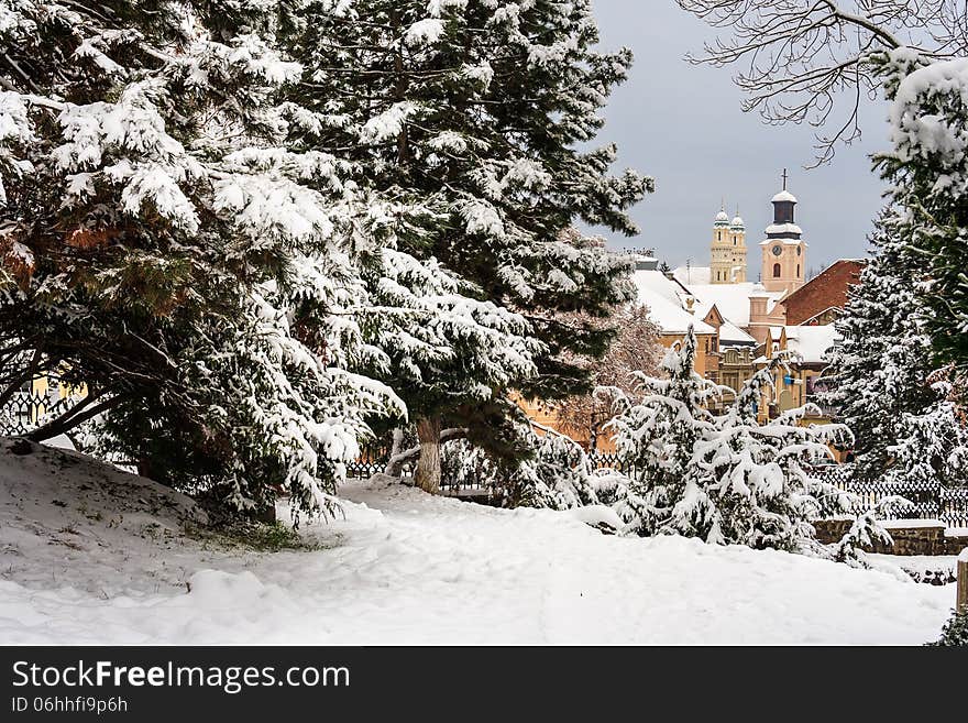 City Park with snowy fir trees and benches, can be seen the dome. City Park with snowy fir trees and benches, can be seen the dome